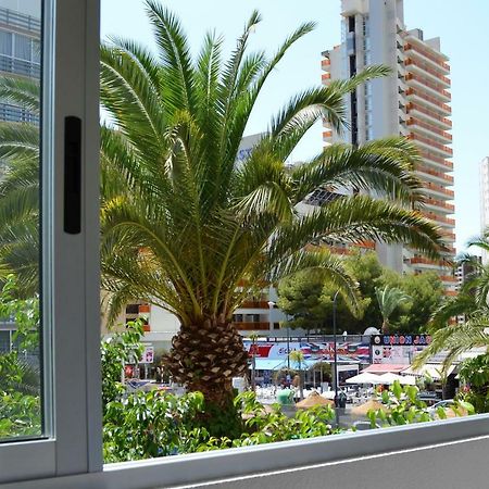 Margarita Apartment 베니돔 외부 사진